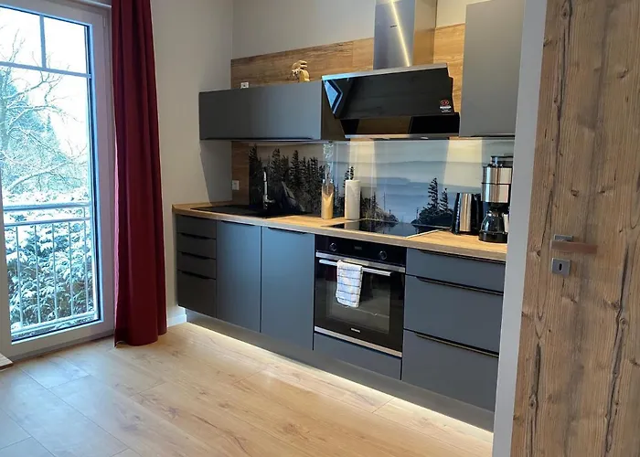 Braunlage Lodge Daire *