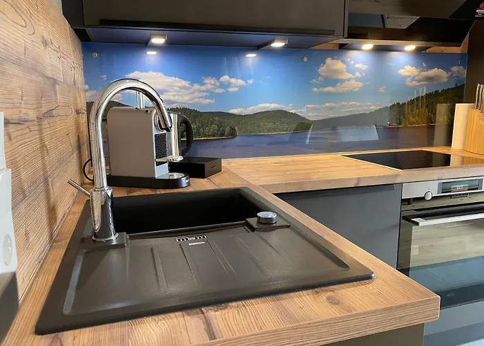 Daire Braunlage Lodge *